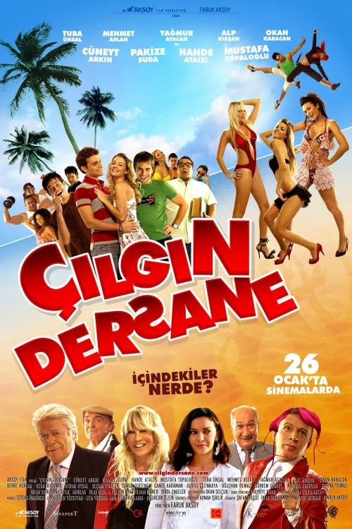 Çılgın Dersane Koleksiyonu