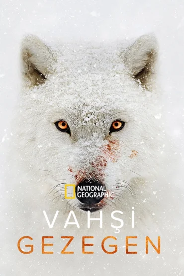 Vahşi Gezegen